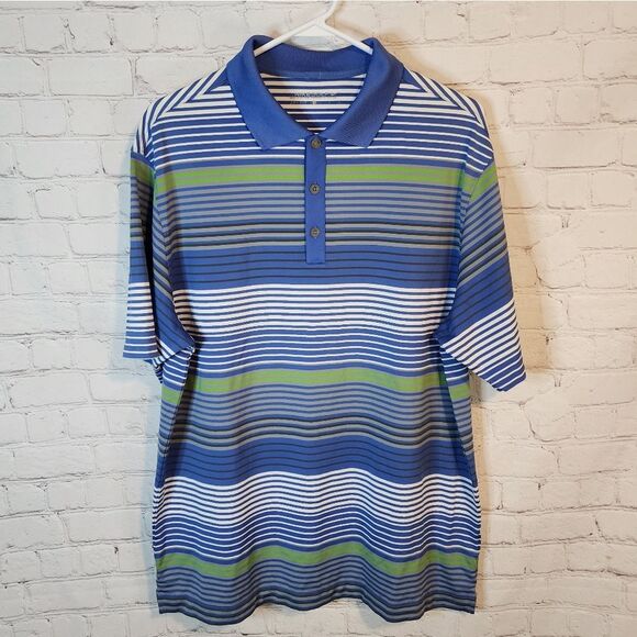 Men's Nike Dri-fit Blue and Green Striped Polo Shirt, Size Large - Picture 1 of 4